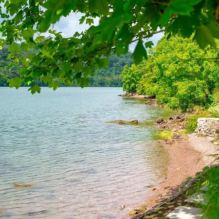 Herons Nest Διαμέρισμα *